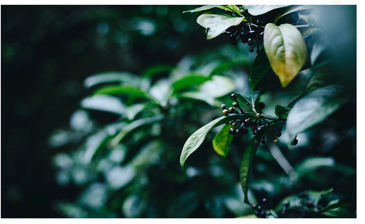 ӢmͤlogoO(sh)ӋƷO(sh)Ӌ